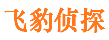 港口市侦探调查公司